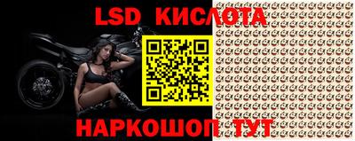 винт Кандалакша