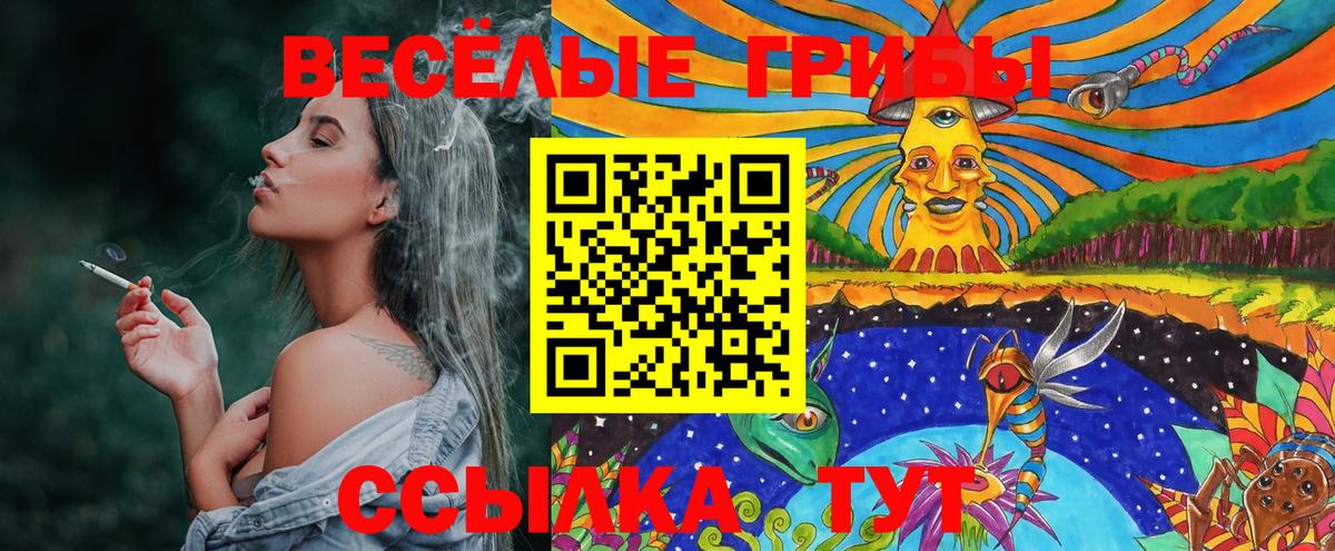 Галлюциногенные грибы прущие грибы  Вход с VPN  Симферополь  Псилоцибиновые грибы Cubensis 