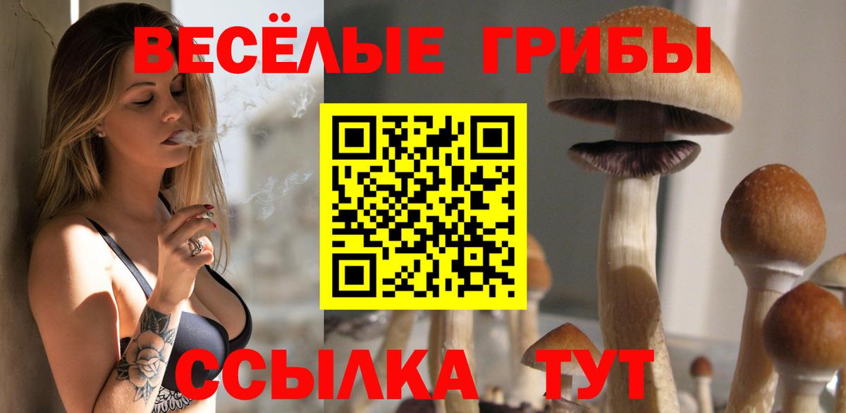 Галлюциногенные грибы GOLDEN TEACHER Симферополь